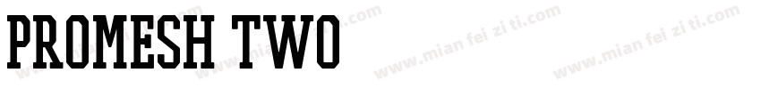 PROMESH Two字体转换